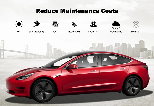 A red Tesla Model 3 with a message about reducing maintenance costs from environmental factors like UV, bird droppings, and rust.