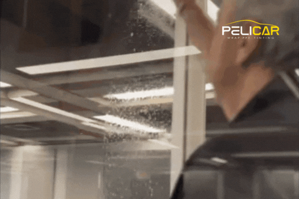A professional from Pelicar carefully installs a clear window film on interior office glass, smoothing it with precision as water droplets slide down the surface. This showcases Pelicar for commercial tinting, emphasizing expert craftsmanship and premium materials.