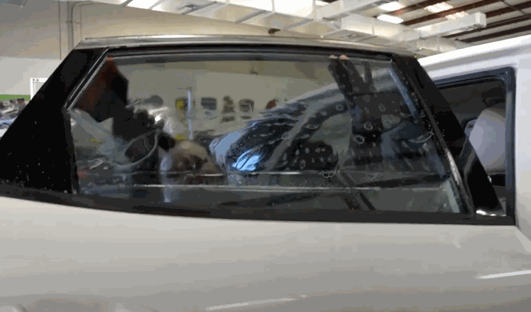 Technician carefully aligns and smooths window tint film across the inside of a car's rear window using a squeegee tool.