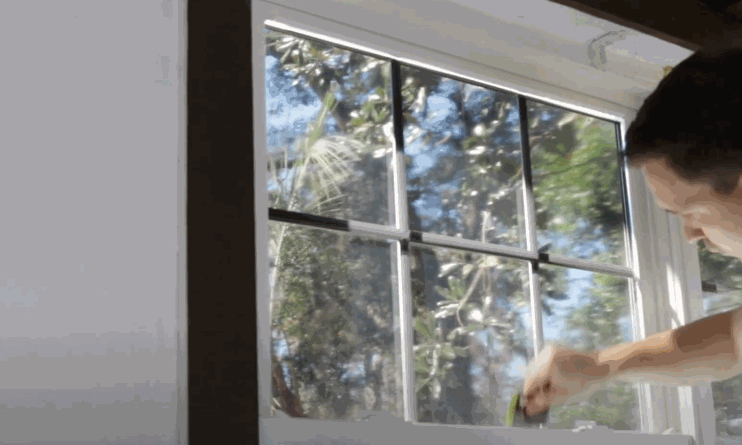 A person smooths security window film onto a residential window pane with a squeegee, with sunlight and trees visible outside.