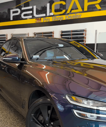 Year-round vinyl wrap maintenance in Massachusetts by Pelicar